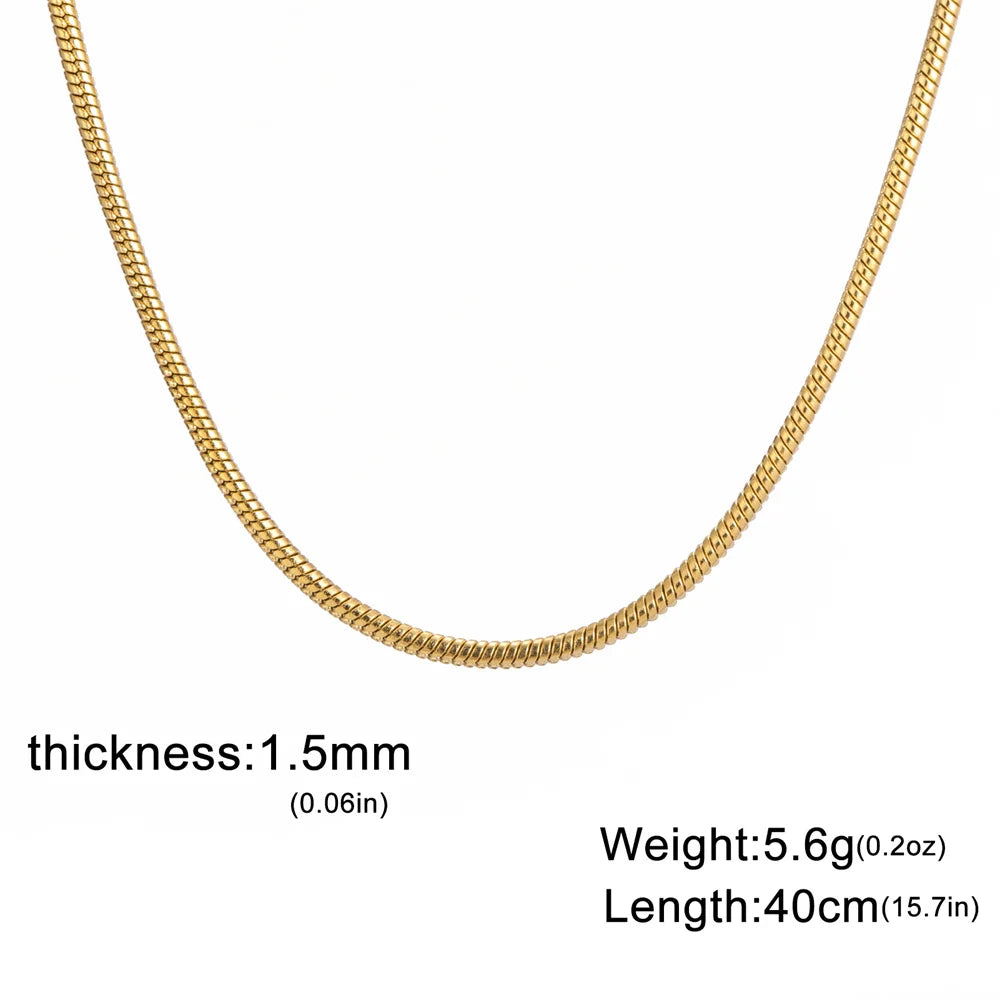 Collar de Acero Inoxidable