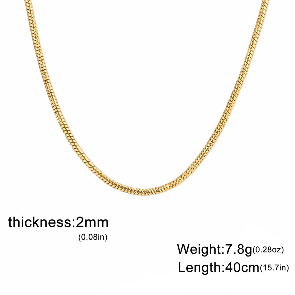 Collar de Acero Inoxidable