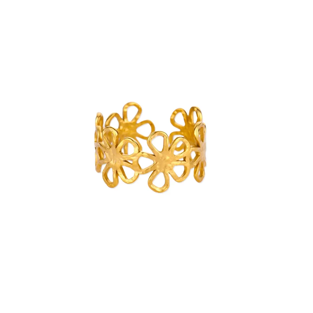 Anillo de Diseño