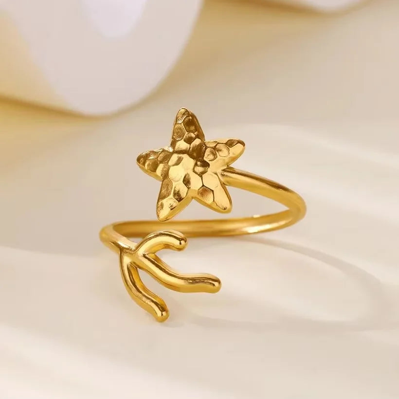 Anillo de Diseño