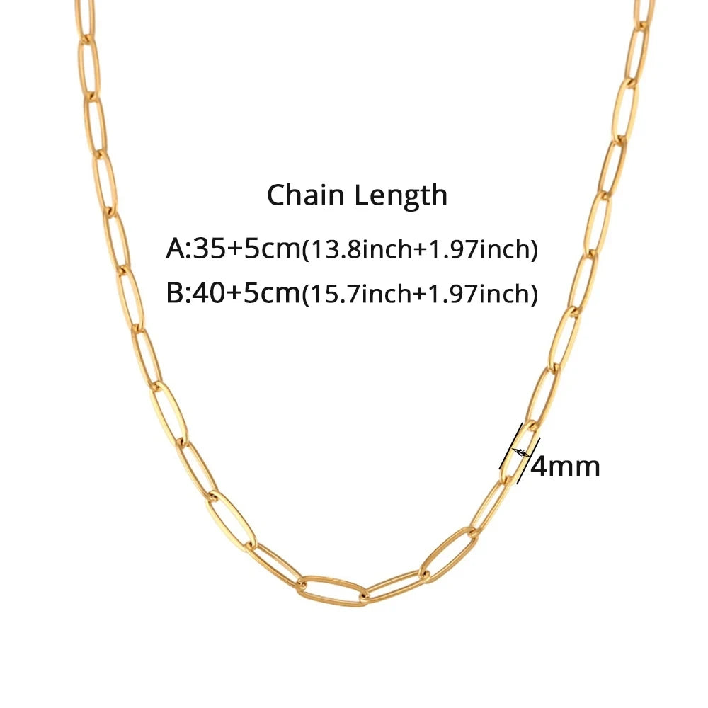 Conjunto Paperclip de Acero de 3 mm