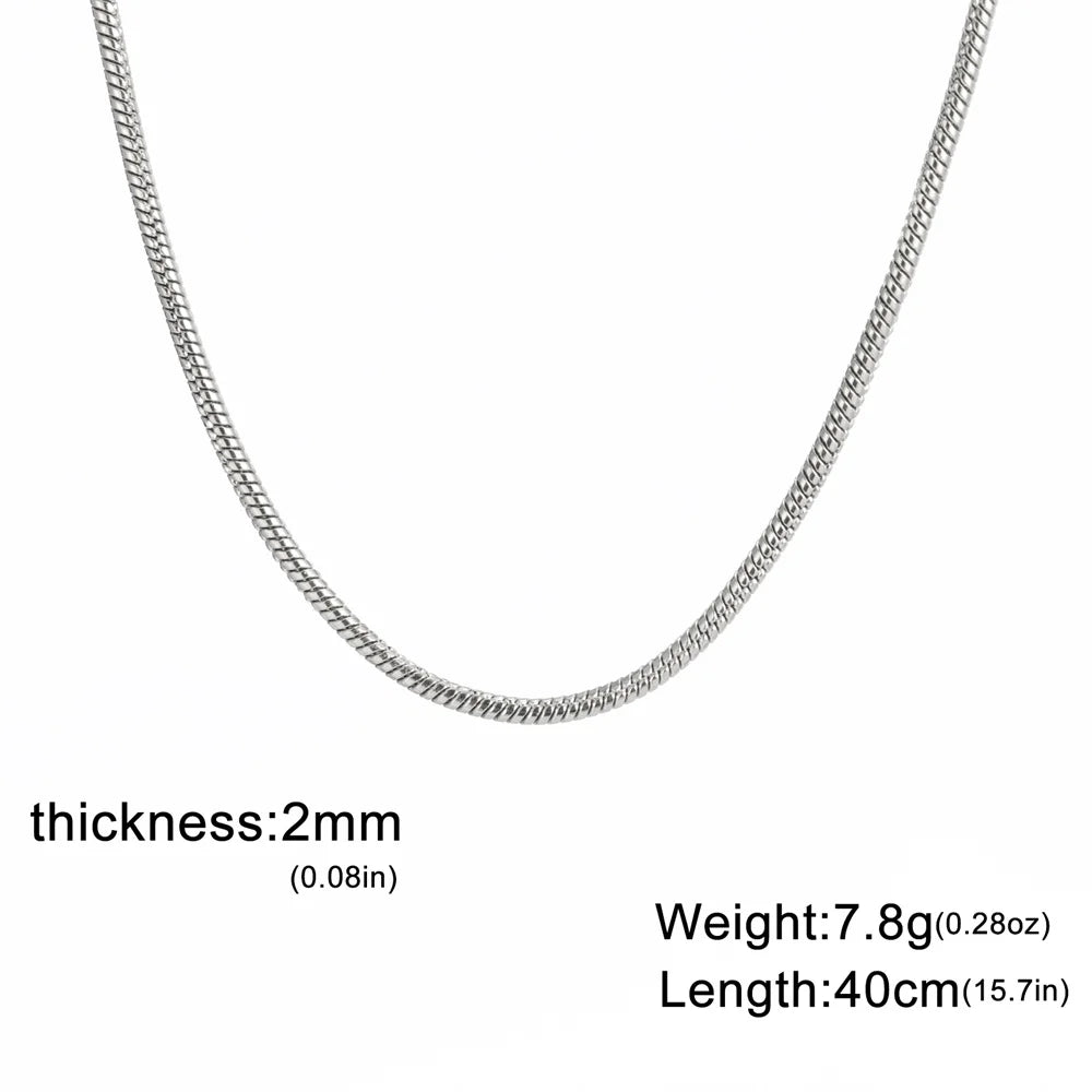 Collar de Acero Inoxidable