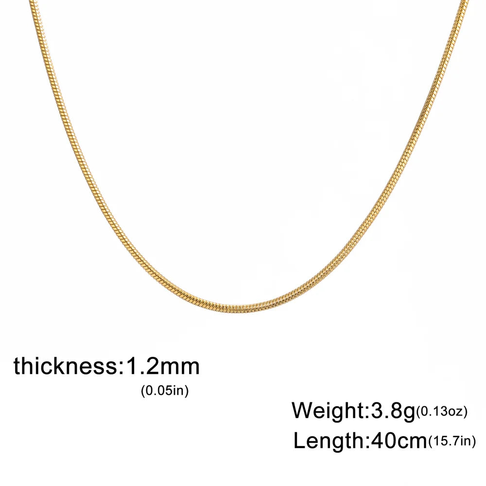 Collar de Acero Inoxidable