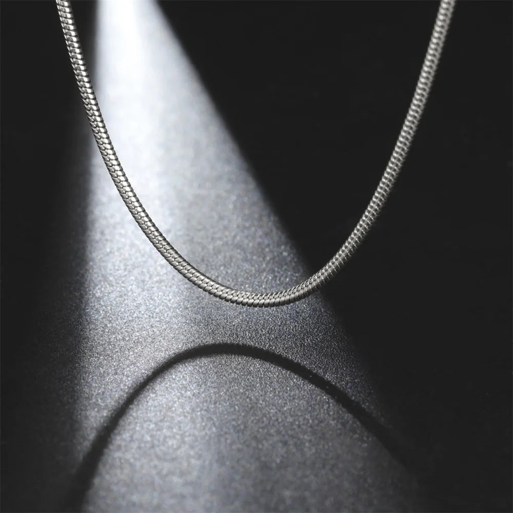 Collar de Acero Inoxidable