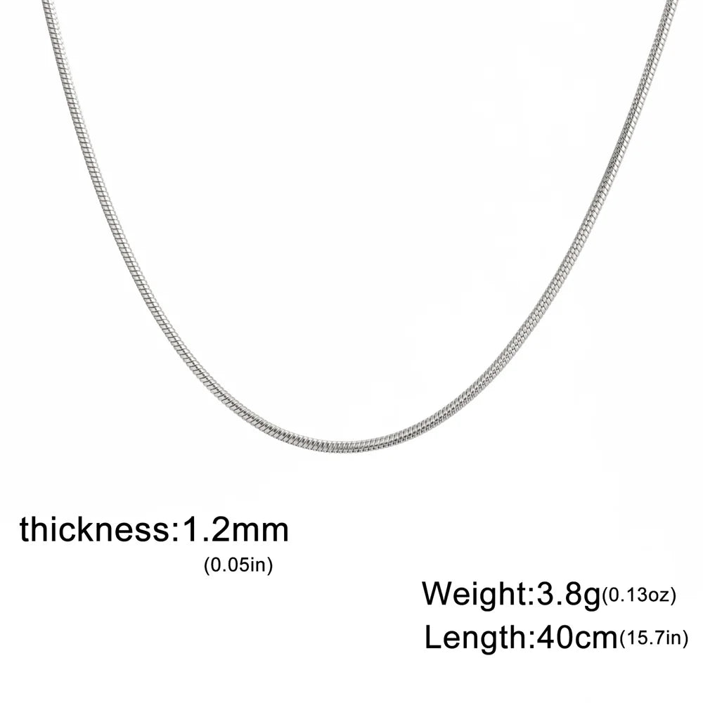 Collar de Acero Inoxidable