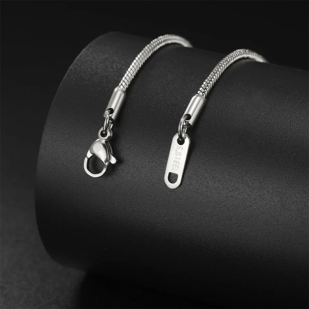 Collar de Acero Inoxidable